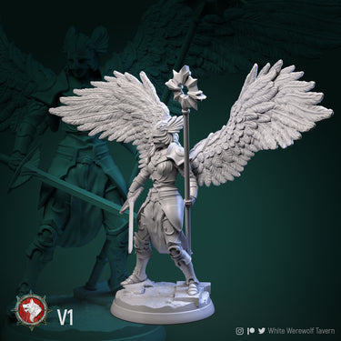 Valkyrie Bundle